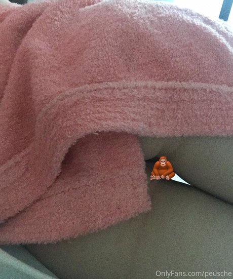 Peusche ポルノスター アダルト 画像