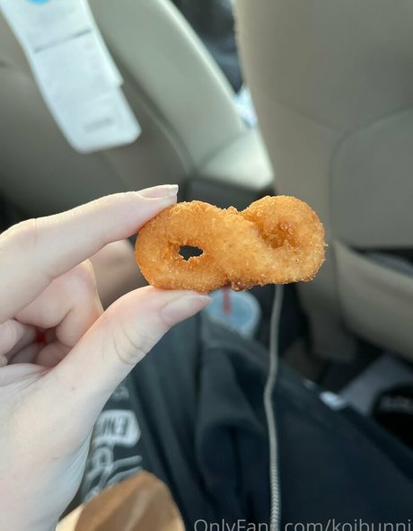 koibunni トップスター 写真