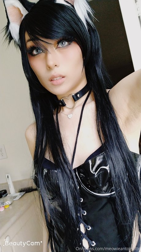 Meowieantoinette ポルノスター HD アーカイブ