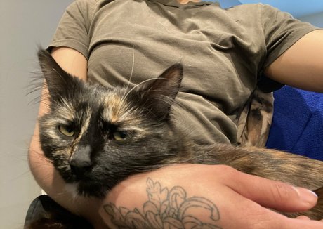 Mayamochi 最高のスター 写真