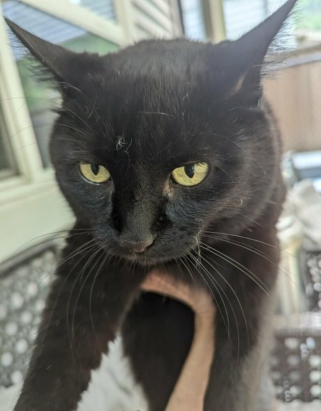 アジア人フィンドムOnlyFans 無料xxx 画像