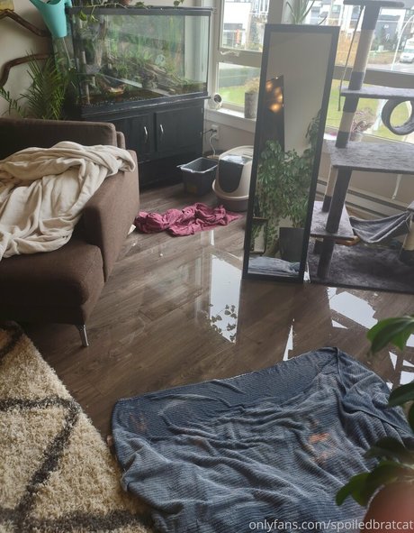 Spoiledbratcat エロティックなモデル 画像