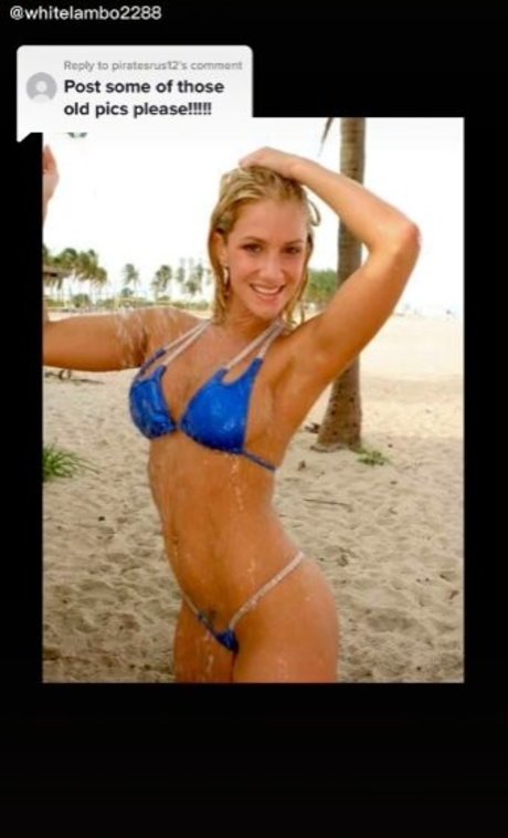 whitelambo2288 ポルノスター 写真