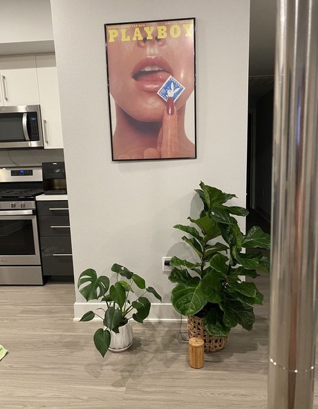 Japanesecream top profile image