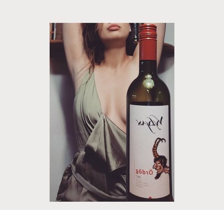 fuzyfruzsina 素敵なスター ギャラリー