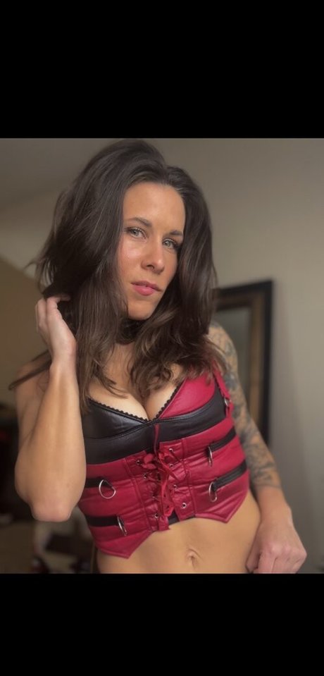 Amwysoc HDモデル 画像