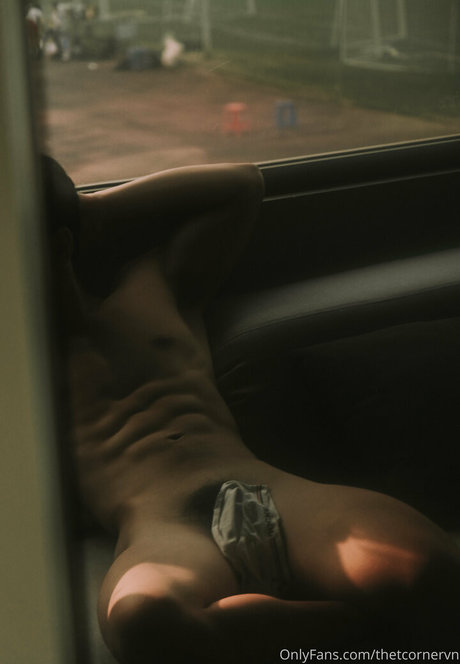 thetcornervn ポルノスター ヌード 画像