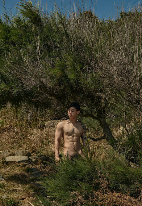 thetcornervn HDモデル 画像