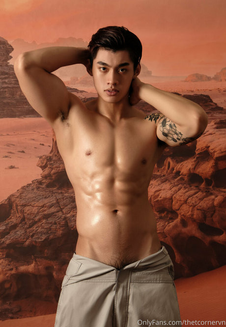 thetcornervn トップポルノスター 写真