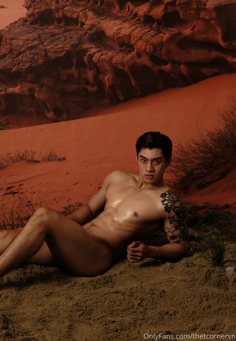 thetcornervn 完璧なモデル 画像