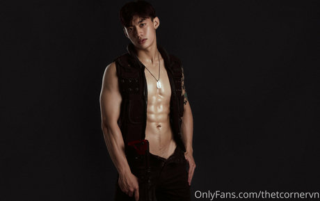 thetcornervn ポルノスター ベスト 画像