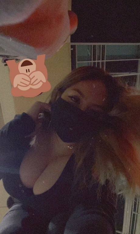 Shoneyy HDモデル 画像