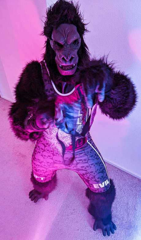 monsterbait HDスター 写真