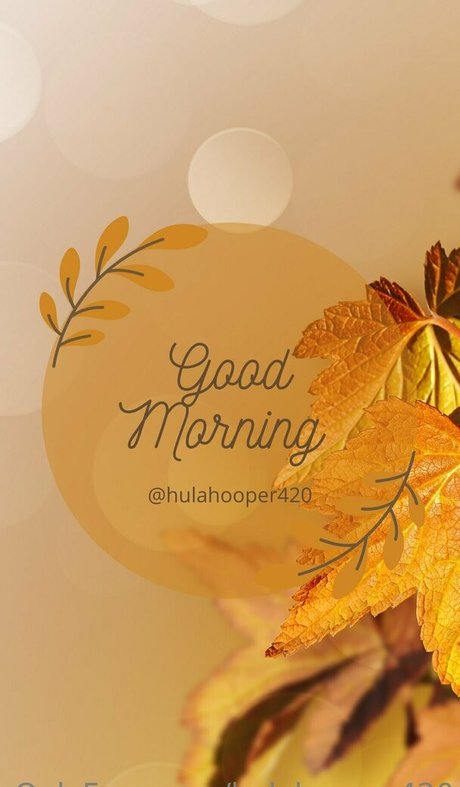 hulahooper420 完璧なスター アーカイブ