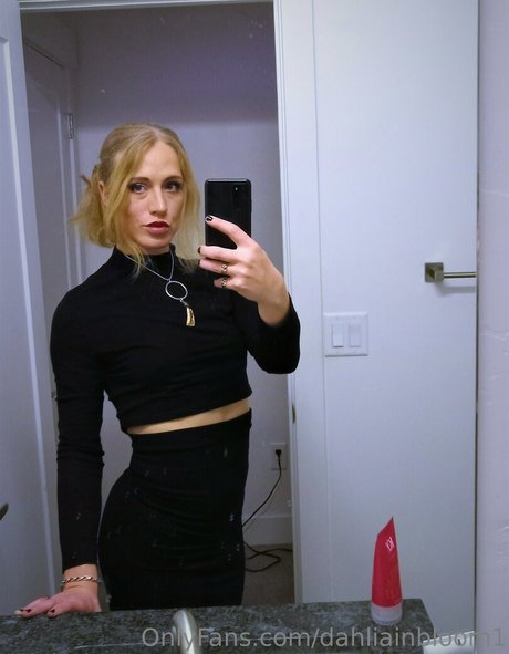 dahliainbloom1 素敵なスター 写真