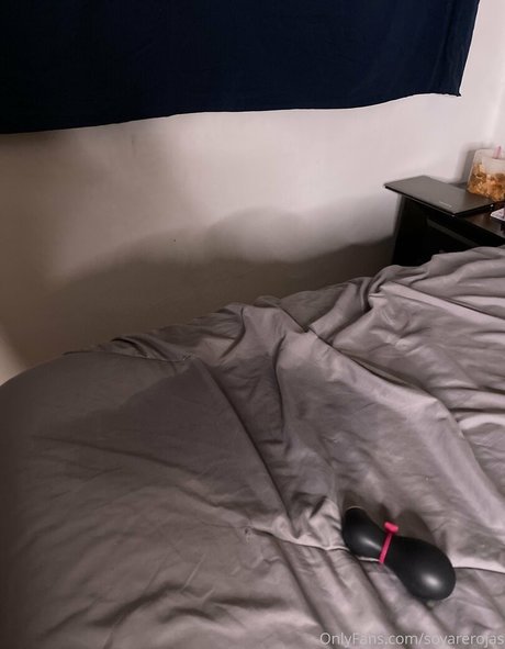 エボニートップオンリーファン 美しい ギャラリー