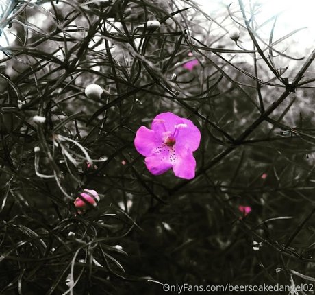 beersoakedangel02 美しいモデル 写真