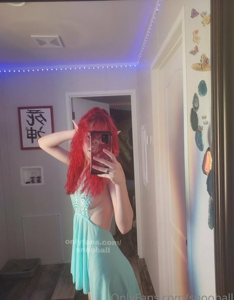 snooball かわいいスター 写真