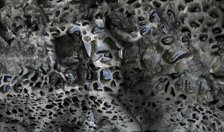 Rae Johnston ポルノモデル 画像