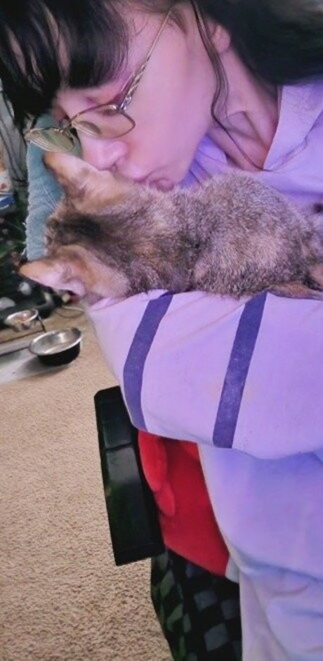 Monimusume スター 写真