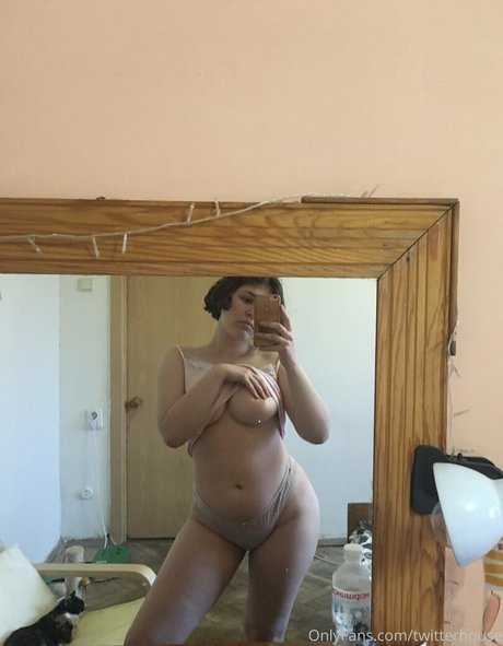 twitterhouse HDスター 写真