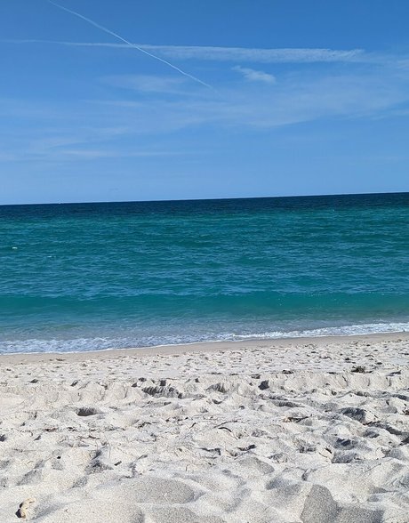 thedaremilf 美しいスター 写真