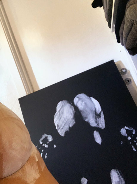 Imhauser_ ポルノスター トップ アーカイブ