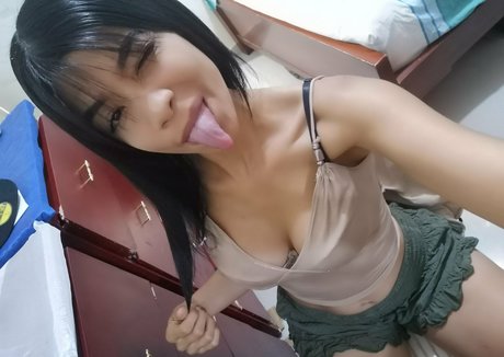 mabel 1495 独占モデル 写真