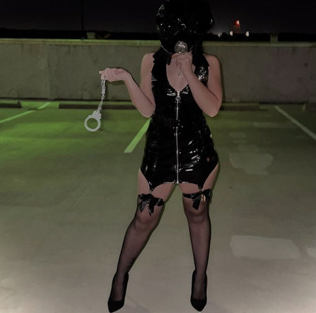 brigotback スター 画像