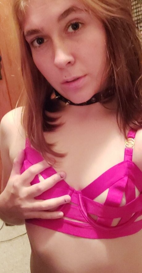 ssapphire equanox21 素敵なスター 写真