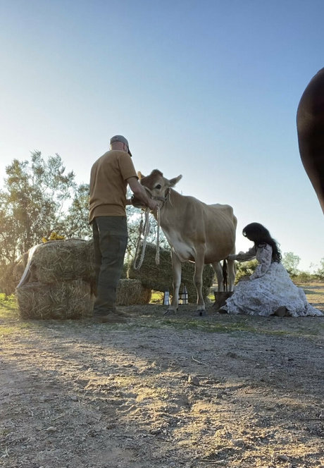 Reedsuicide ヌードモデル アーカイブ