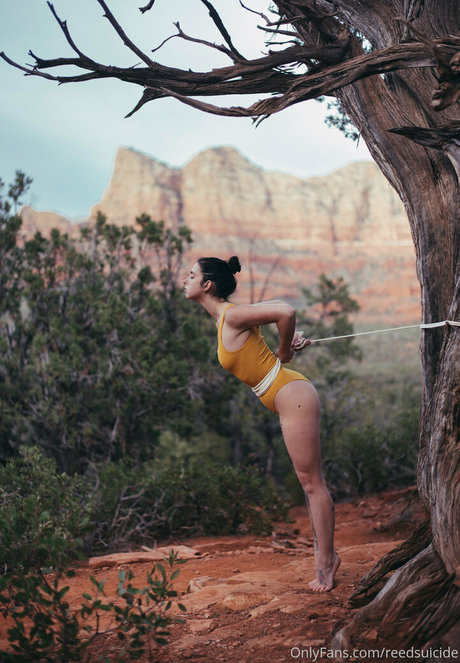 Reedsuicide ポルノスター ベスト 写真