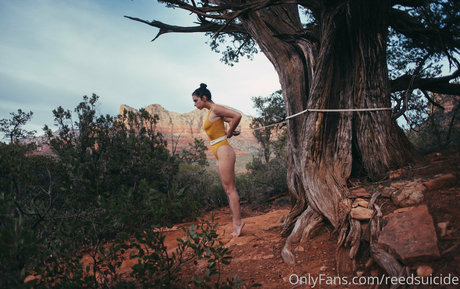 Reedsuicide 美しいポルノスター 写真