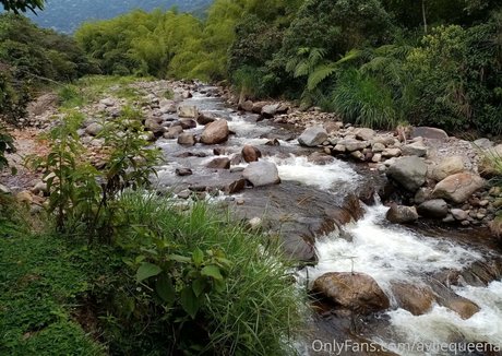 avliequeena 高品質のポルノスター 画像