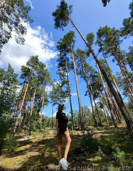 alexandraritto スター アーカイブ