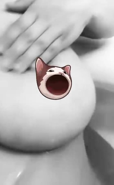 kitty ketttt HD女優 写真