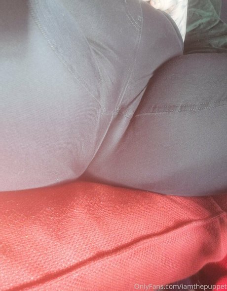 iamthepuppet 無料のスター 画像