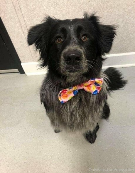 曲線美の熟女OnlyFans 裸 画像