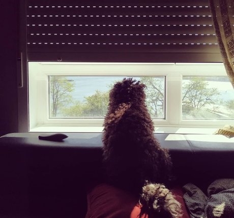 Resha Antony セクシーモデル 写真