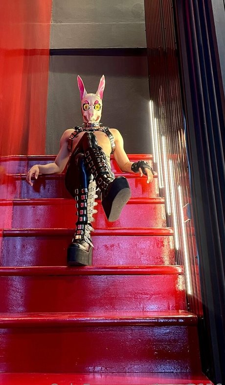 kmp5656 スターセックス 写真