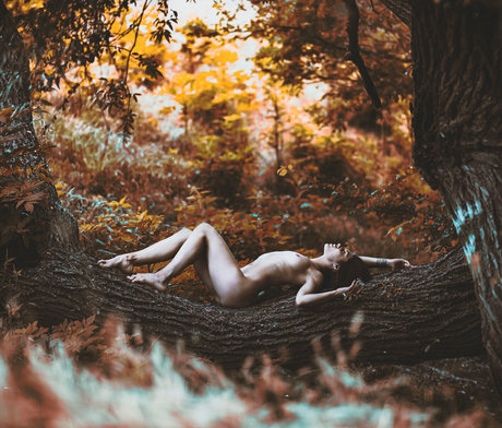 Gabie Yd ホットスター 画像