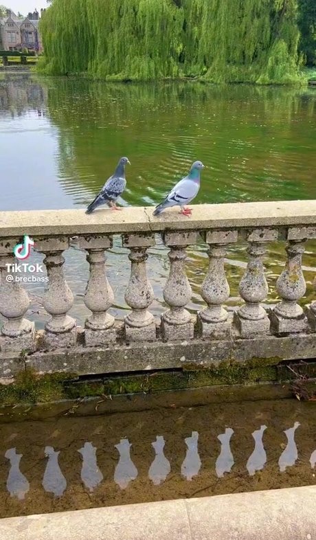 アジア人寝取られOnlyFans ホット裸 ギャラリー