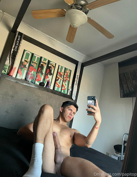 papitop 完璧なポルノスター 画像