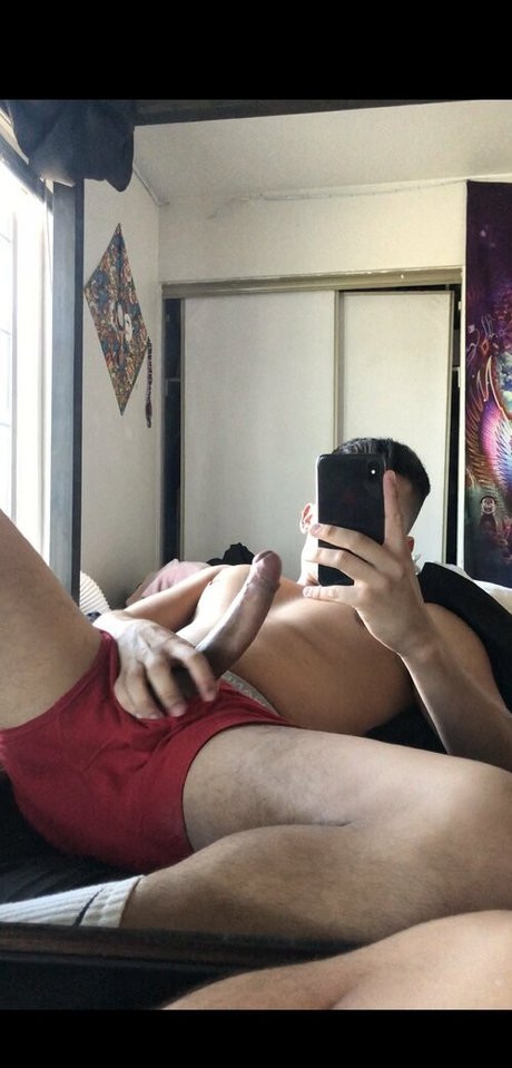 papitop かわいいスター 写真