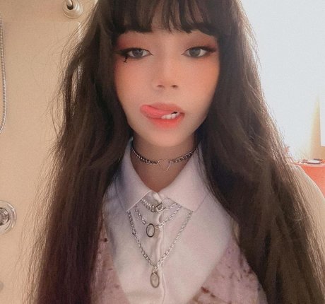 Wasabiicat かわいいスター 写真