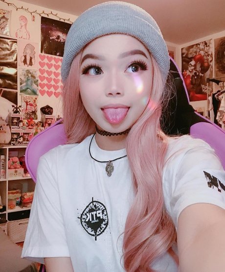 Wasabiicat アートスター 写真