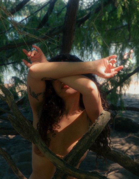 Spicymarii 素敵なポルノスター 画像