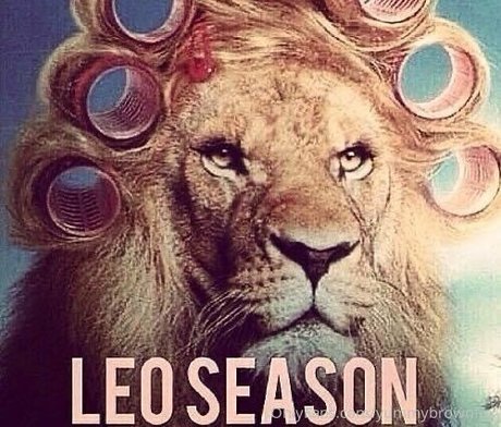 yummybrownfox 美しいスター 写真