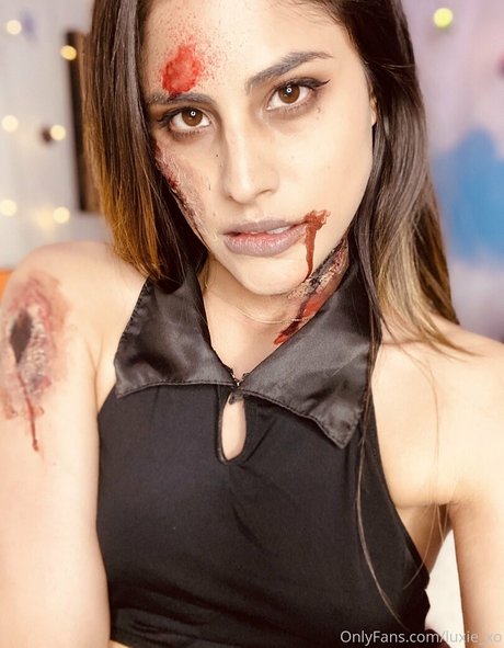 luxie xo 限定モデル 写真