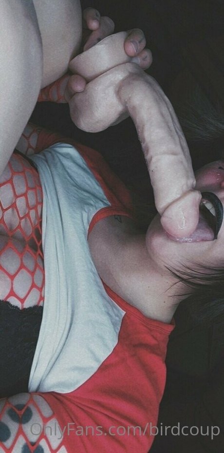 Birdcoup セクシーなスター 写真